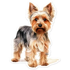 Yorkie Yorkshire Terrier - Vinyl Decal Sticker - Car Window Laptop - ebn11375