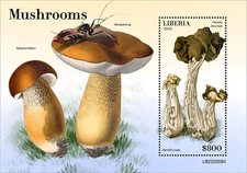 Liberia - 2022 Mushrooms, Grey Saddle - Stamp Souvenir Sheet - LIB220303b1
