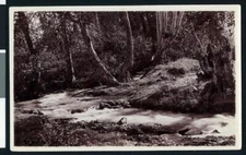Mill Creek Canyon in Redlands showing large stream 1900 California Old Photo