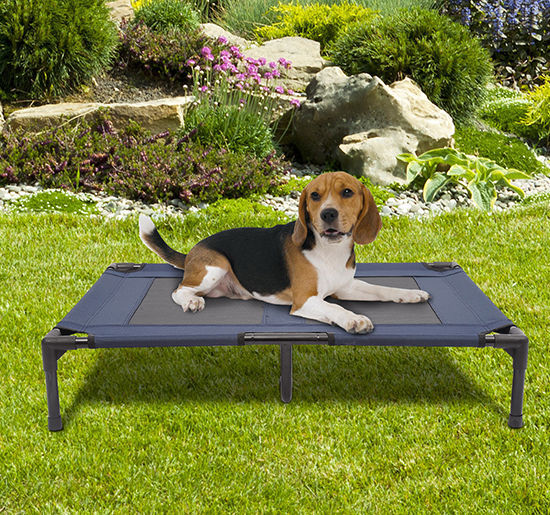 pawhut elevated dog bed