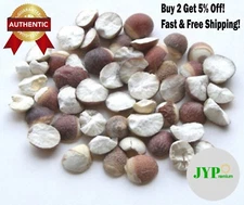 16oz / 1LB ~ Gorgon Seed, Qian Shi, Semen Euryales, 茨實 ~ USA Fast/Free Ship!!!