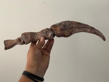Spinosaurus Aegypticus Dinosaur Fossil Finger Replica