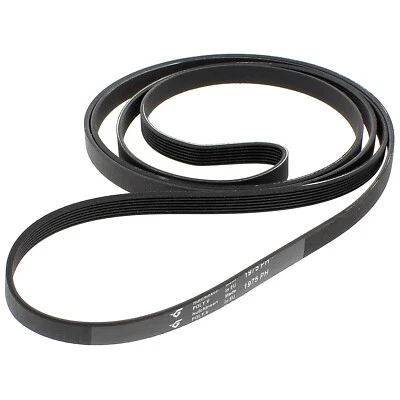 Cinghia 1975 H5 Asciugatrice Rex Electrolux Zanussi Aeg | Originale 1258288107