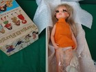 Foto 23 di 24
