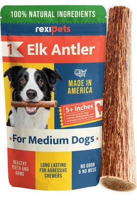 4-5'' Elk 100% NATURALLY SHED Antler Premium Dog Chews