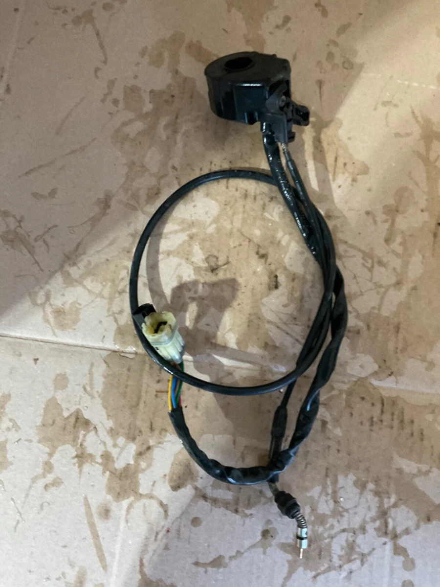 Raptor 660 Choke Cable