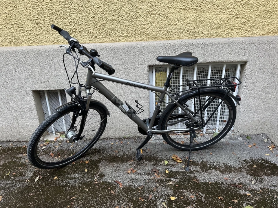 Raleigh  26“ MAX funmax disc grau all terrain bike Kinderfahrrad Jugendrad