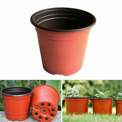 10/100Pack Plastic Plant Flower Pots Nursery Seedlings Pot Plant For Home Garden - Picture 5 of 17