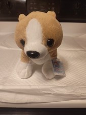 NEW 2025 Webkinz Chihuahua Ganz Plush w/2 Unused Codes for Classic  Next