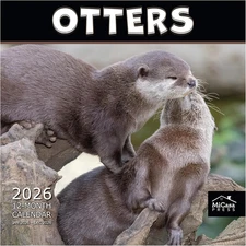 Otters 2026 Wall Calendar 12 Month | 12” x 24” Open | Thick & Sturdy Paper | Hol