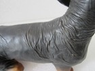 Bild 11 von 15
