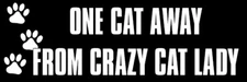 3x9 inch One Cat Away Crazy Cat Lady Bumper Sticker (decal car funny humor)
