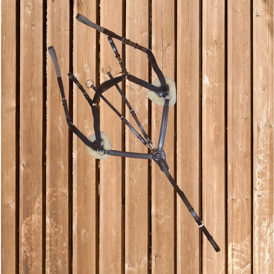 Vorderzeug Euroriding 5-Point British Line, Leder, dunkelbraun, mit Martingal - Bild 1 von 1