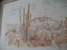 Cactus Desert Drawing Print under Glass wood frame  10 x 13 "Steven V Canizales