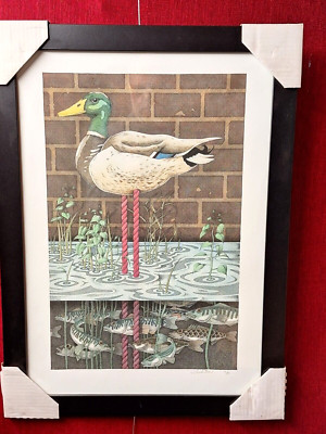 Signierter Simon Drew gerahmter Limited Edition lustiger Druck Ente Teich Tier Wanddeko