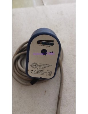 1pcs Used EGE flow switch SN10383 *ll