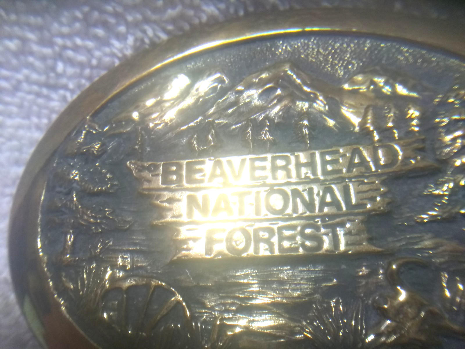 Beaverhead National Forest Solid Brass Buckle Wes… - image 2