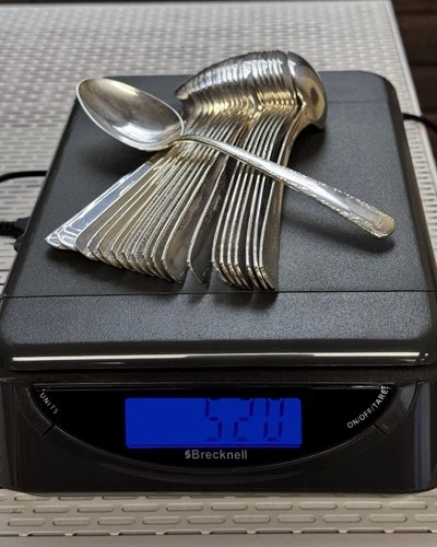 Lot of 20 Gorham Camellia Sterling Silver Spoons 520g Total 6" No Monogram