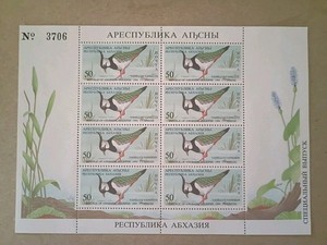 Abkhazia 1994 Vanellus Bird 8 Stamps Sheet MNH  , Limited 