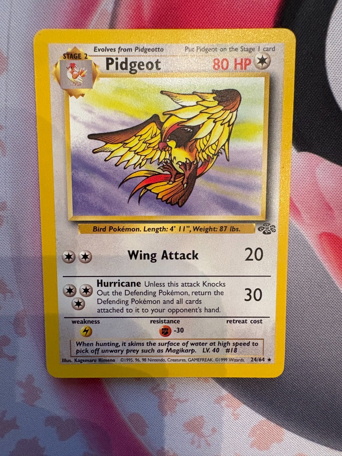 Pidgeot 24/64 Jungle Regular NM