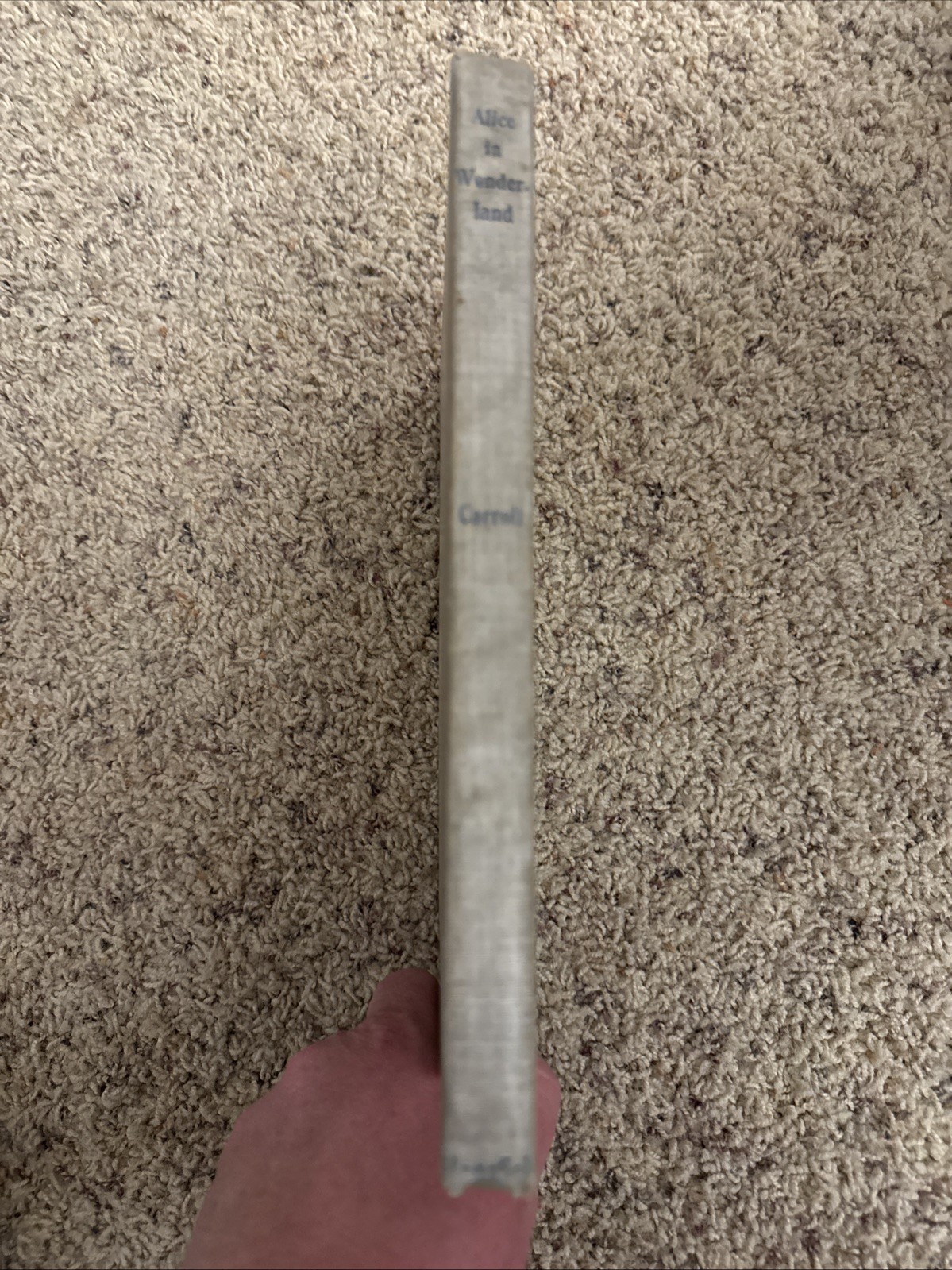 1899 Alice In Wonderland & Through The Looking Glass Blanche McManus