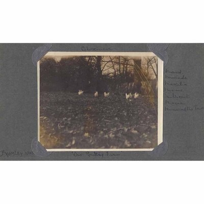 BROMLEY Kent Geflügelfarm Vintage Foto 1918