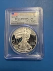 2015-W Proof American Silver Eagle PCGS PR70 DCAM Florida Fun