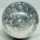 Natural Insectconch fossil crystal Ball Quartz Crystal Sphere Reiki Healing4740G — photo 6