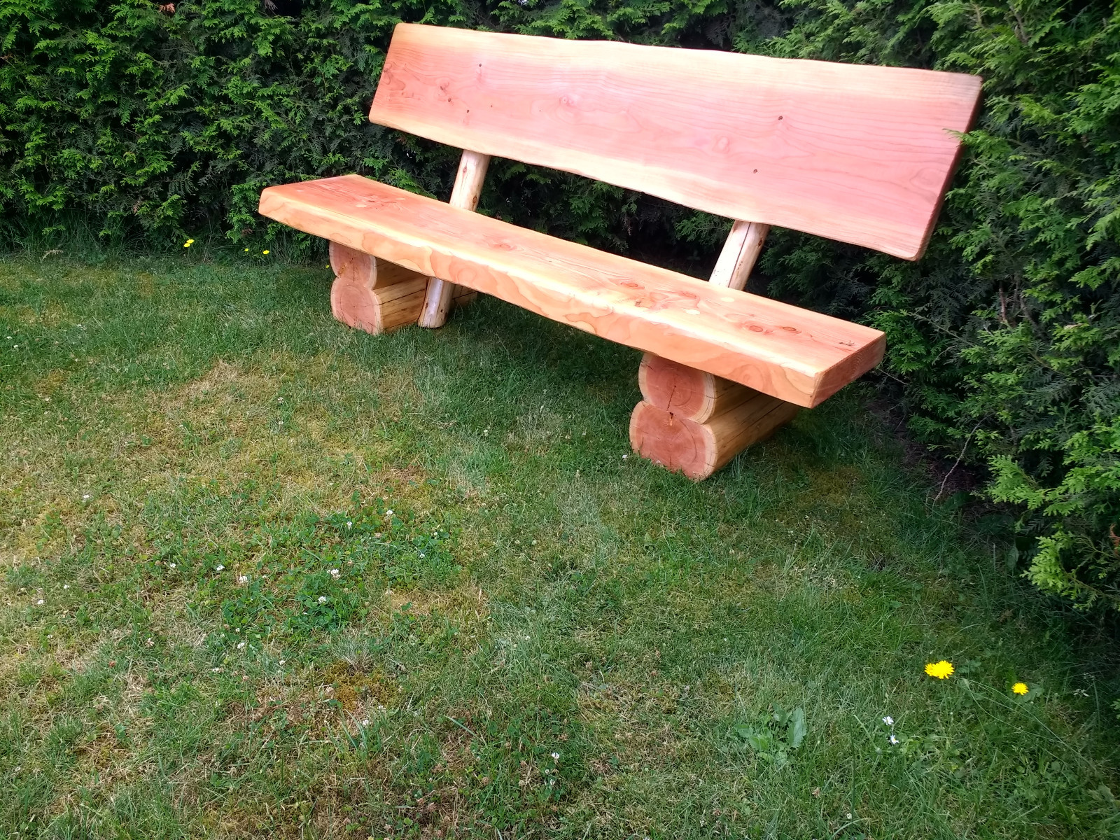 Bild 10 von 12