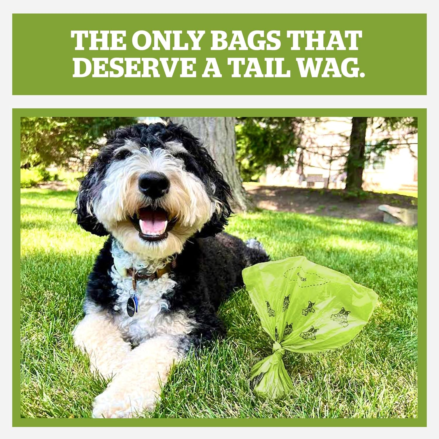 Pogi’S Dog Poo Bags – Biodegradable| Ultra Thick| Leak-Proof| Powder Fresh Scent view 2