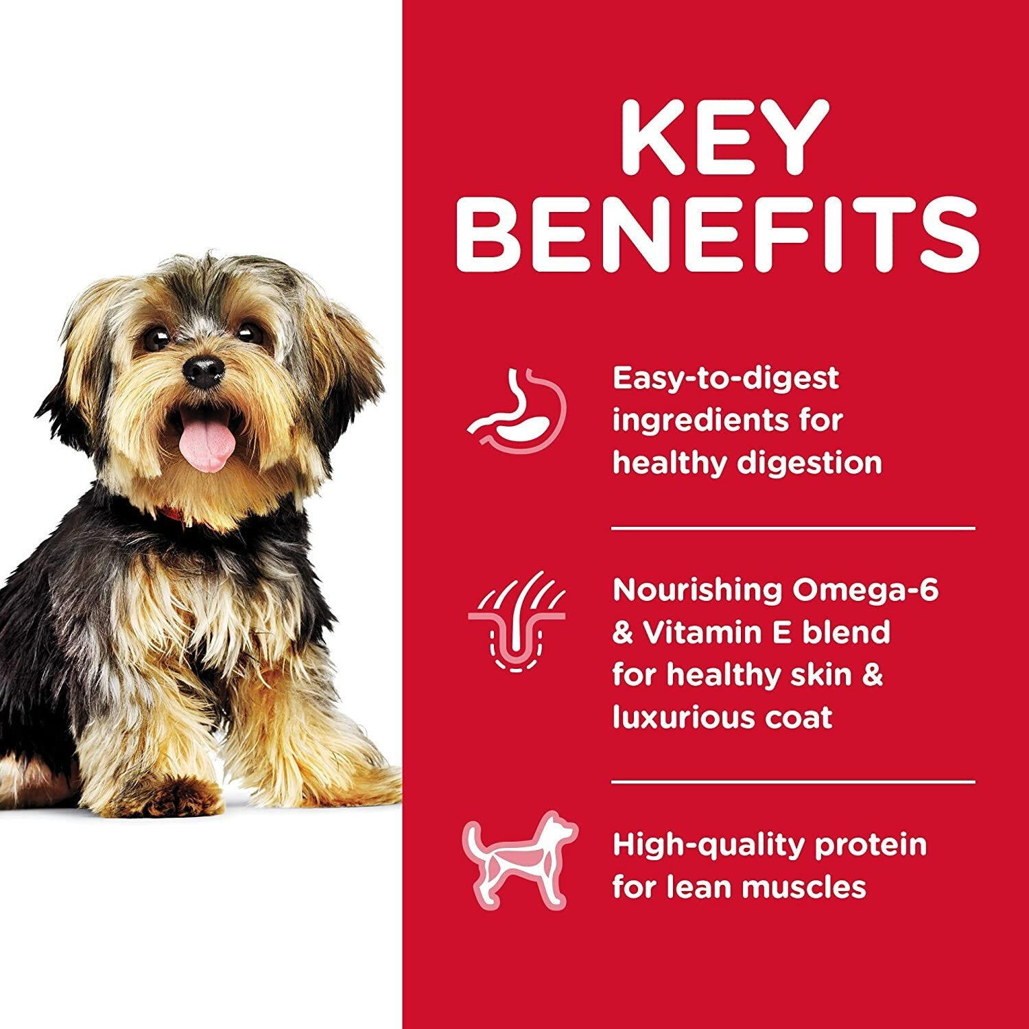 Hill's Science Diet Dry Dog Food, Adult, Small Paws for Small Breed Dogs.