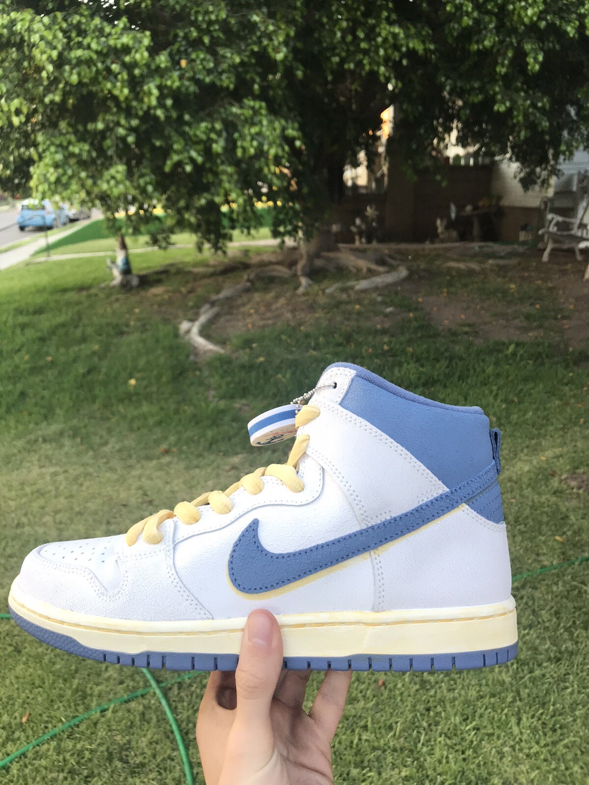 lost at sea dunks