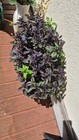 Bild 5 von 5