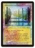 Path of Ancestry #25 (Foil) (NM) 30th Anniversary Edition 30A-P Magic MTG