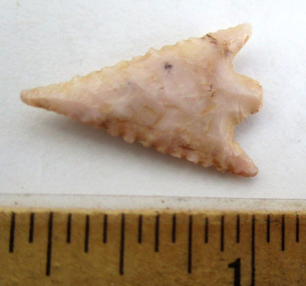 White Shell Arrow Head ARROWHEAD NEOLITHIC POINT AMAZING MICRO SERRATIONS G-10 NL-51