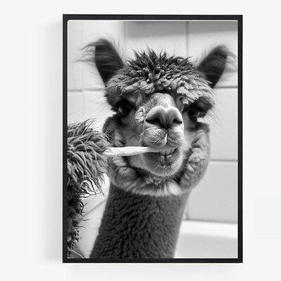 Lustiges Bad Lama Alpaka Zähneputzen Druck Bild Poster Unrahmen A4
