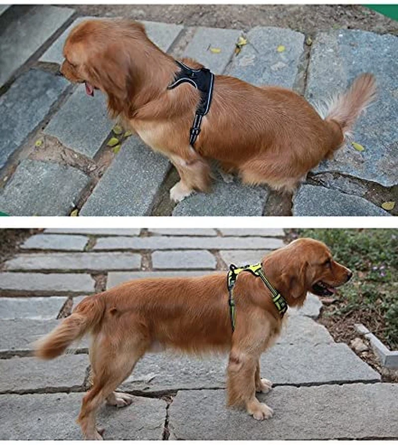 Dog Harness Soft Front. Reflective No Pull Harness with Handle and 2 Leash Att