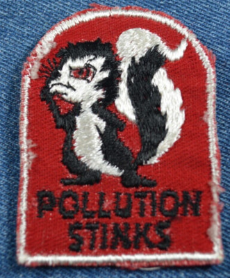 NOS 70s Vintage POLLUTION STINKS 2.75'' Patch ECO Green Funny Skunk - WEATHERED