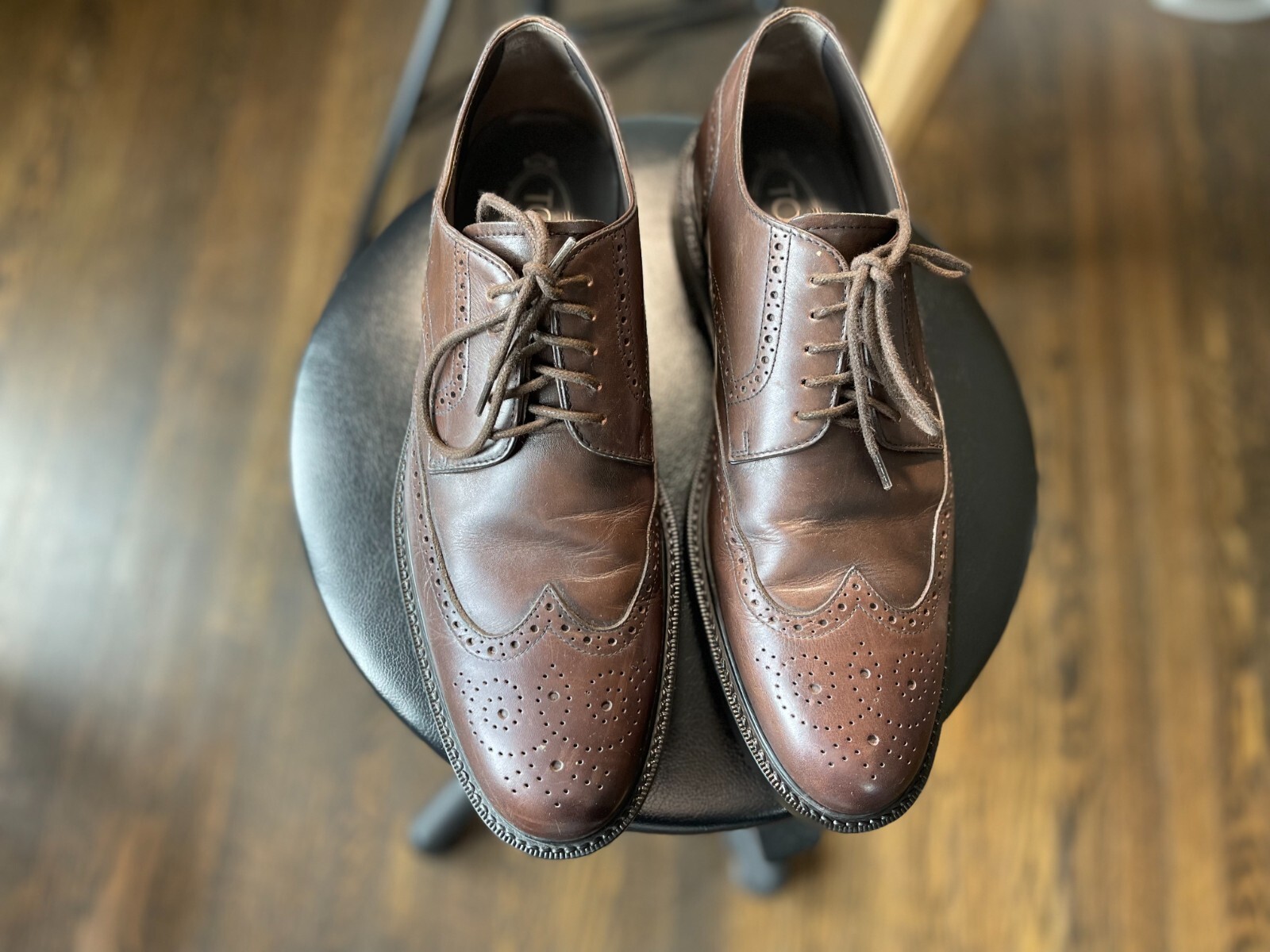 SAOLA Scarpe Tod's Derby in pelle marrone taglia US 10 1 2 Tod's taglia 9