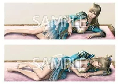 Koei Tecmo Dynasty Warriors 7 Wang Yuanji Long Cushion Cover Pillow Case