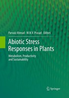 M. N. V. Prasad (U. A.) | Abiotic Stress Responses In Plants | Taschenbuch | Xv