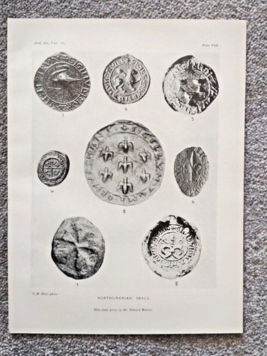 Examples of Northumbrian Shields - Antique Print - 1910