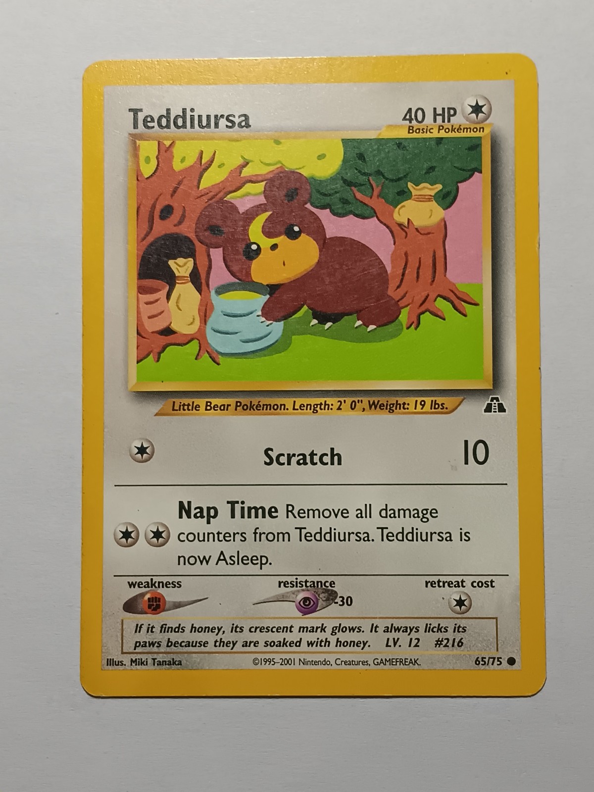 Teddiursa Common Neo Discovery 65/75 HP