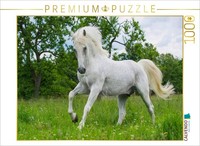 Calvendo Puzzle Lipizzaner Stallion Pluto Darina | 1000 Pieces, Finished Size 25
