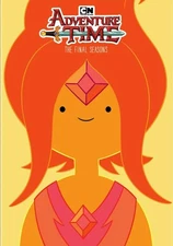 Cartoon Network Adventure Time The Final Seasons DVD  NEW