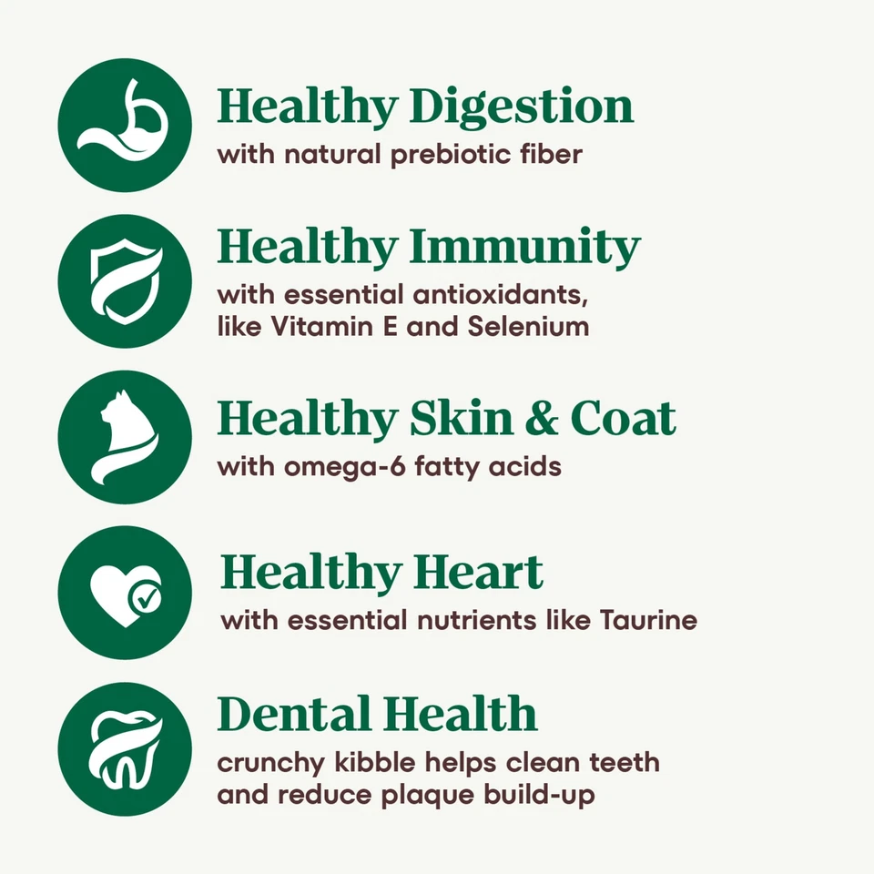 Nutro Wholesome Essentials Salmon Dry Cat Food 5 lb Healthy Skin Digestion - Image 4 of 4