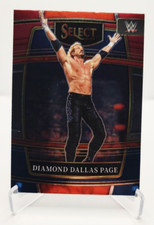 2022 Panini Select WWE Concourse Red & Blue #35 Diamond Dallas Page wrestling