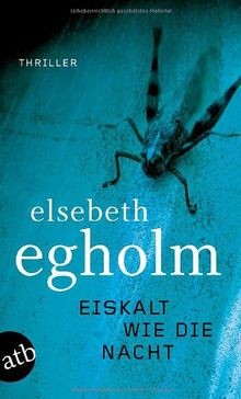 Eiskalt wie die Nacht: Thriller (Dicte Svendsen erm... | Buch | Zustand sehr gut