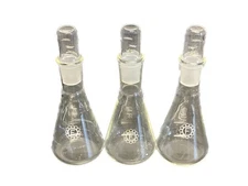 (Lot of 3) FISHER SCIENTIFIC Vintage Glass 125mL Erlenmeyer Flask 24/40 w/ Stprs