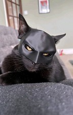 Batman Cat Mask
